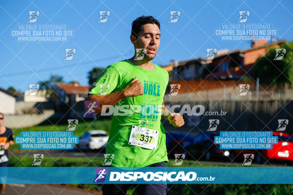 Vale Verde Run 2024