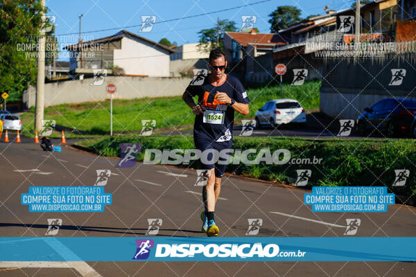 Vale Verde Run 2024