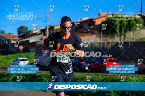 Vale Verde Run 2024