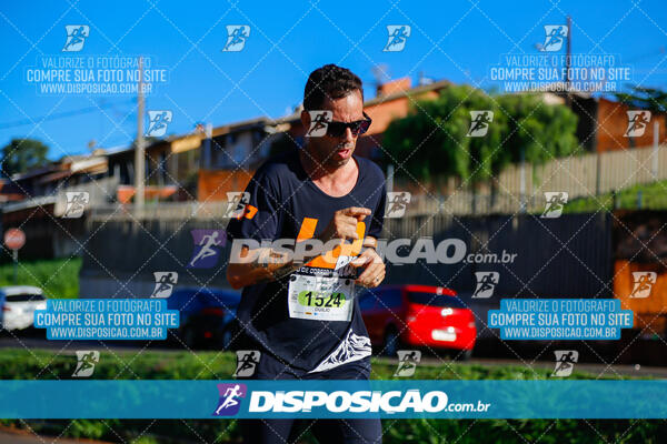 Vale Verde Run 2024