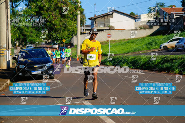 Vale Verde Run 2024