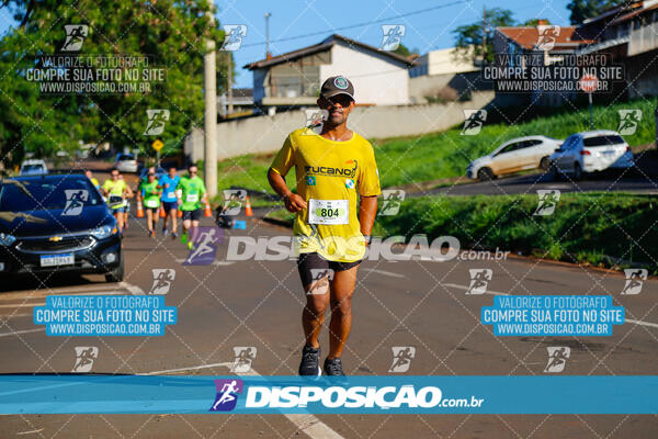 Vale Verde Run 2024