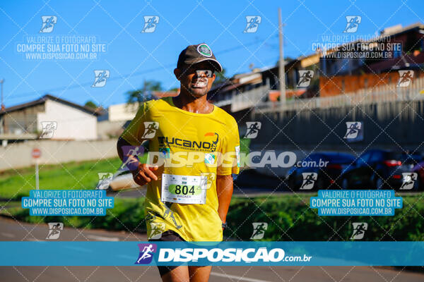 Vale Verde Run 2024