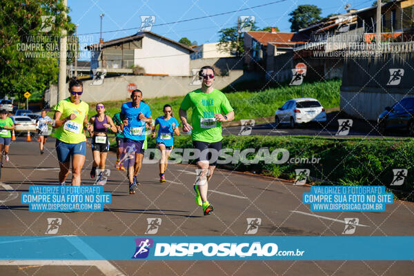 Vale Verde Run 2024