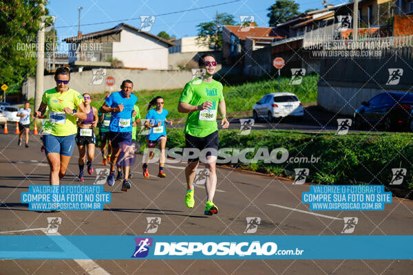 Vale Verde Run 2024