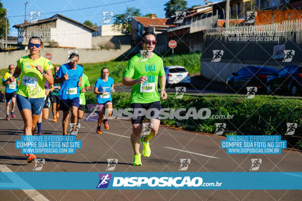 Vale Verde Run 2024