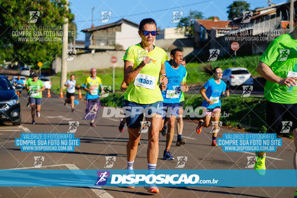 Vale Verde Run 2024