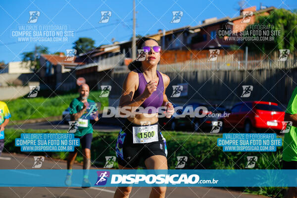 Vale Verde Run 2024