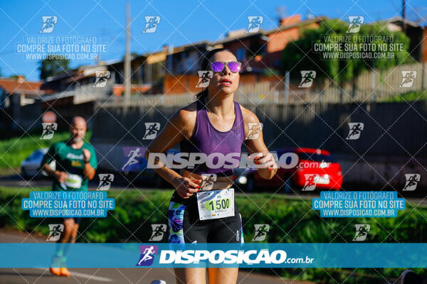 Vale Verde Run 2024