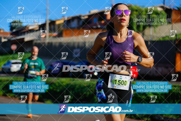 Vale Verde Run 2024