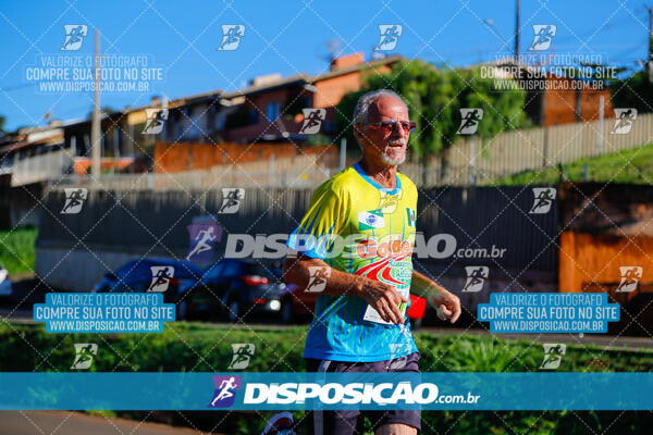 Vale Verde Run 2024