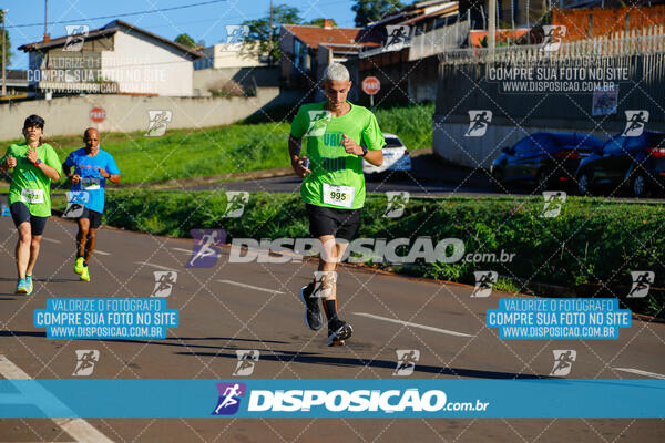 Vale Verde Run 2024