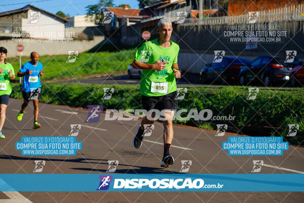 Vale Verde Run 2024