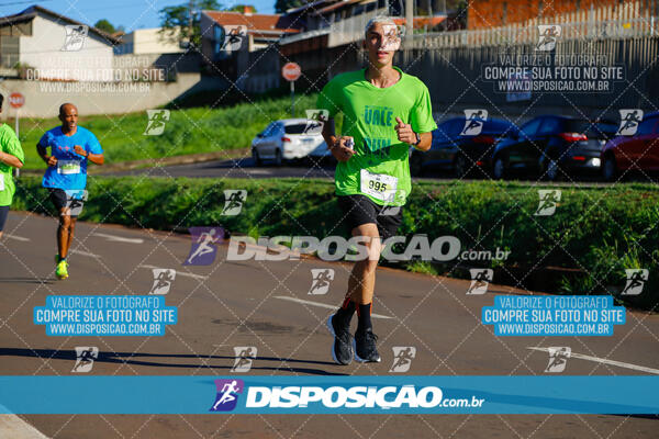 Vale Verde Run 2024