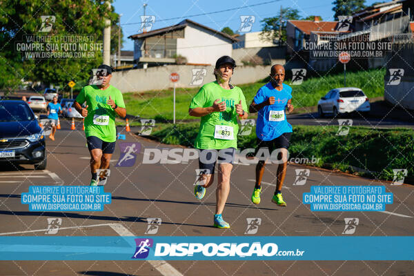 Vale Verde Run 2024