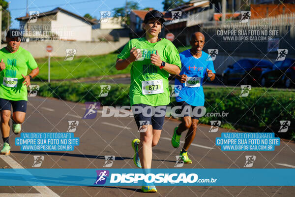 Vale Verde Run 2024