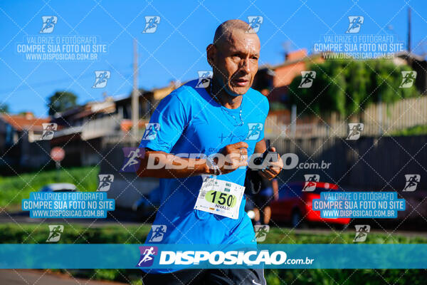 Vale Verde Run 2024