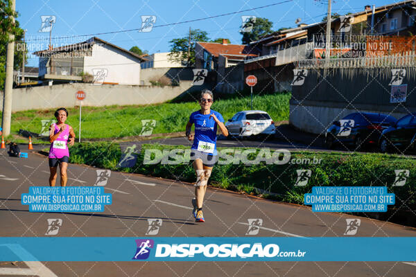 Vale Verde Run 2024