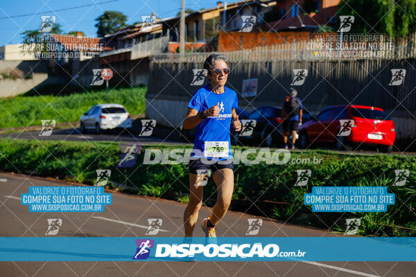 Vale Verde Run 2024