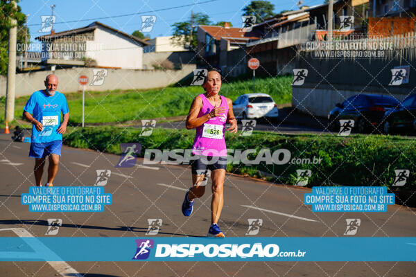 Vale Verde Run 2024