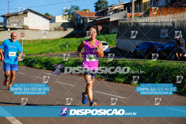 Vale Verde Run 2024