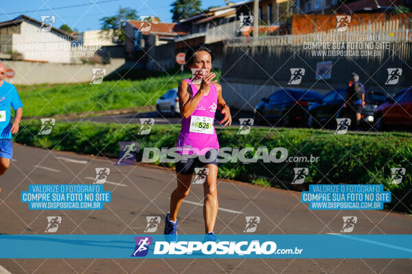 Vale Verde Run 2024