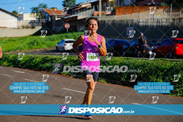 Vale Verde Run 2024