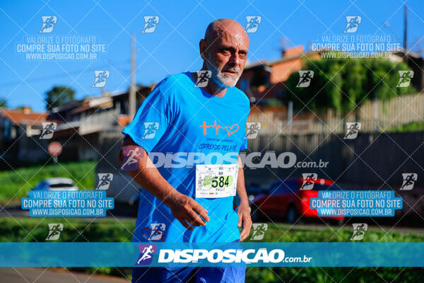 Vale Verde Run 2024