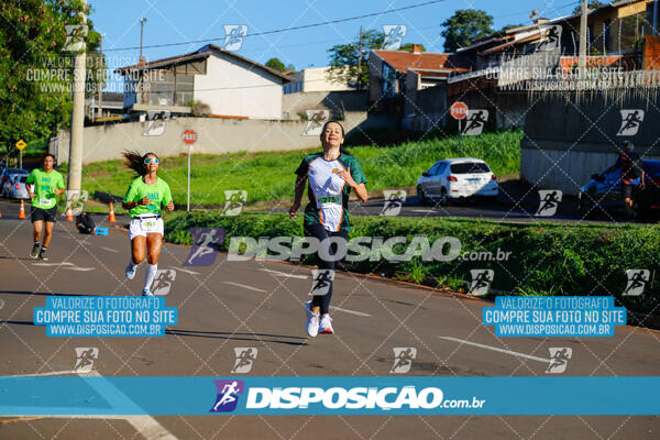 Vale Verde Run 2024