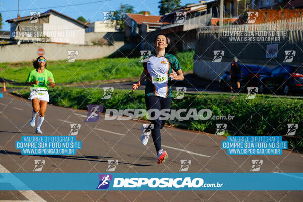 Vale Verde Run 2024