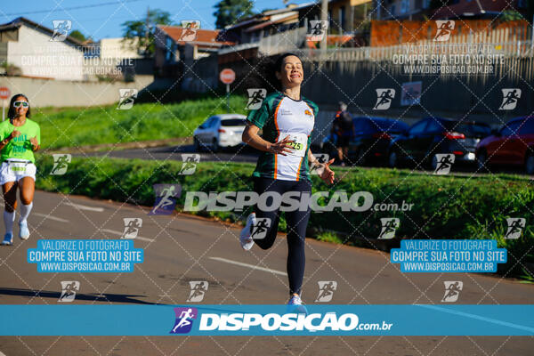 Vale Verde Run 2024