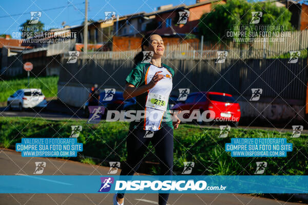 Vale Verde Run 2024