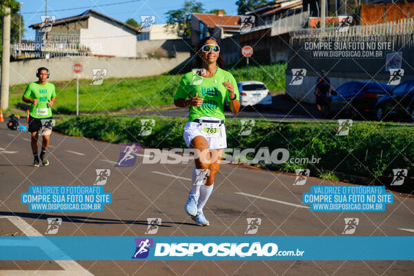 Vale Verde Run 2024