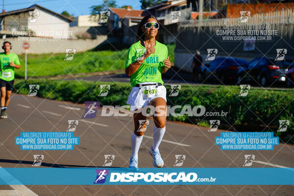 Vale Verde Run 2024