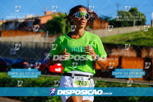 Vale Verde Run 2024