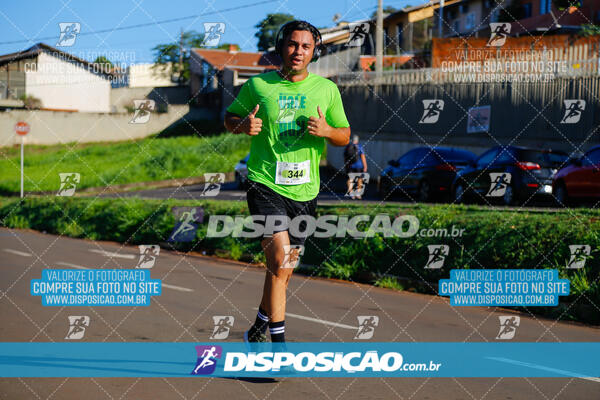 Vale Verde Run 2024