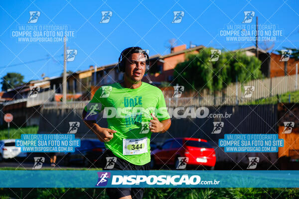 Vale Verde Run 2024