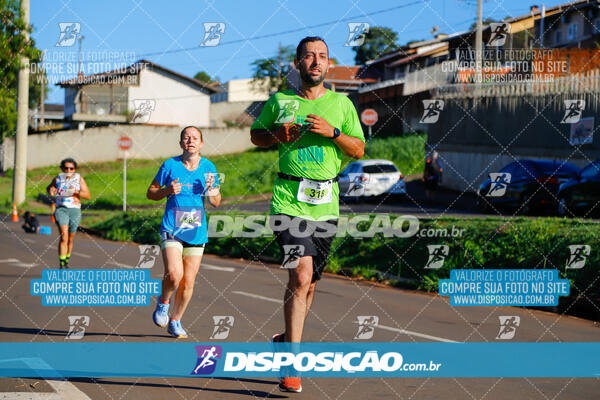 Vale Verde Run 2024