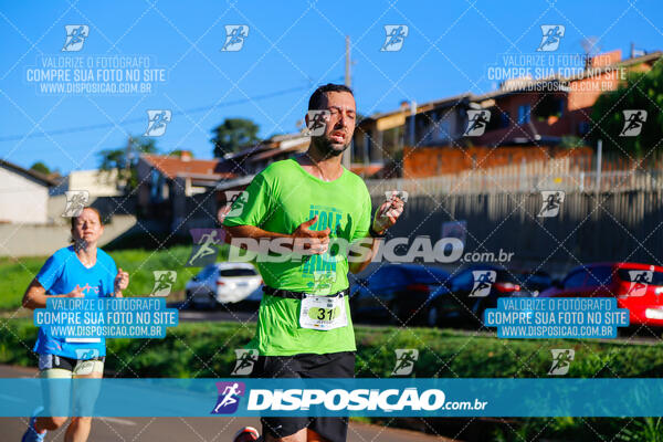 Vale Verde Run 2024