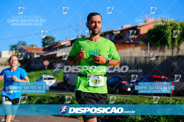 Vale Verde Run 2024