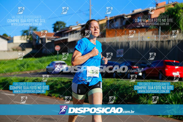 Vale Verde Run 2024