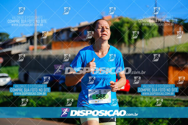 Vale Verde Run 2024