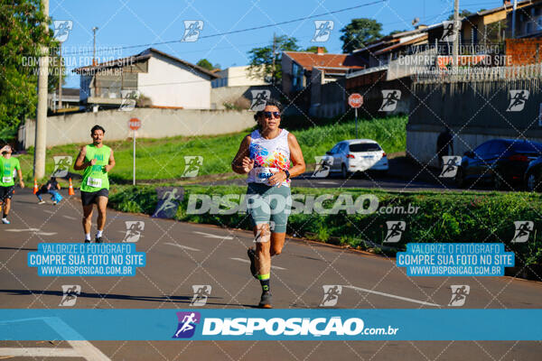 Vale Verde Run 2024