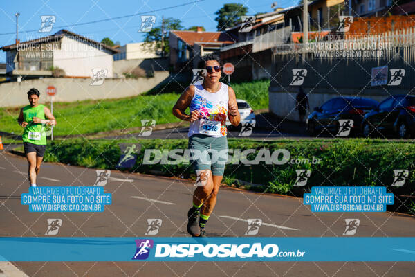 Vale Verde Run 2024