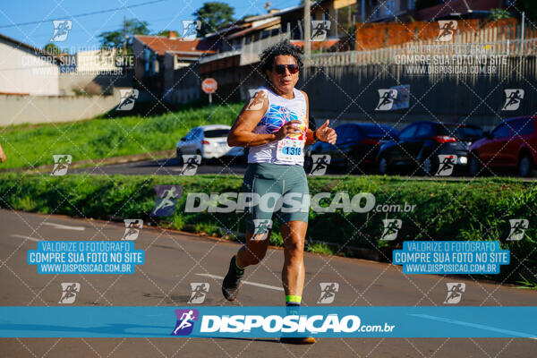 Vale Verde Run 2024