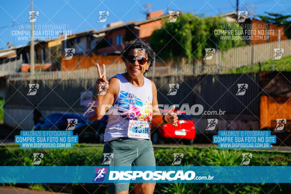 Vale Verde Run 2024