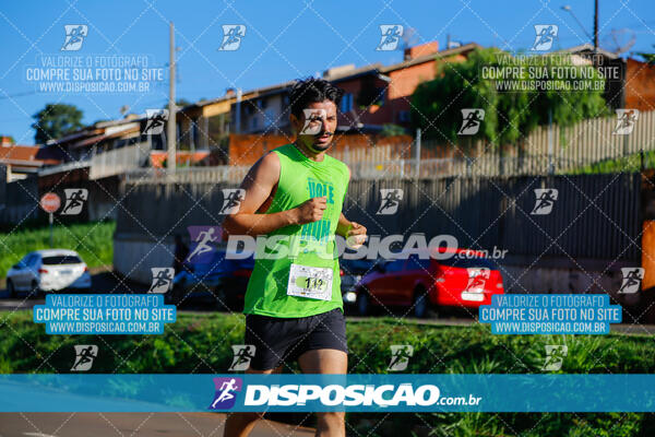 Vale Verde Run 2024