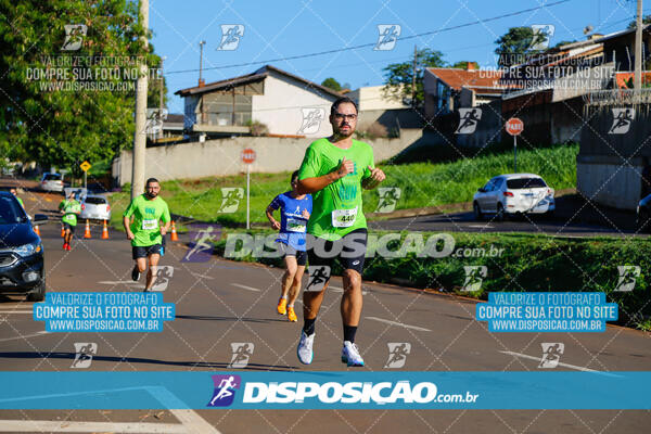 Vale Verde Run 2024