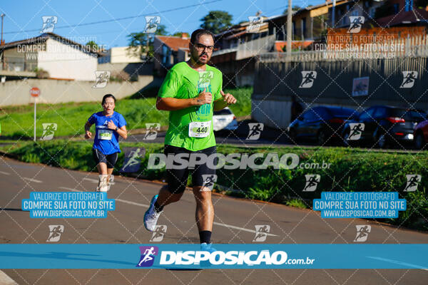 Vale Verde Run 2024