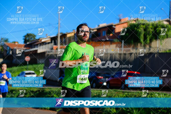 Vale Verde Run 2024